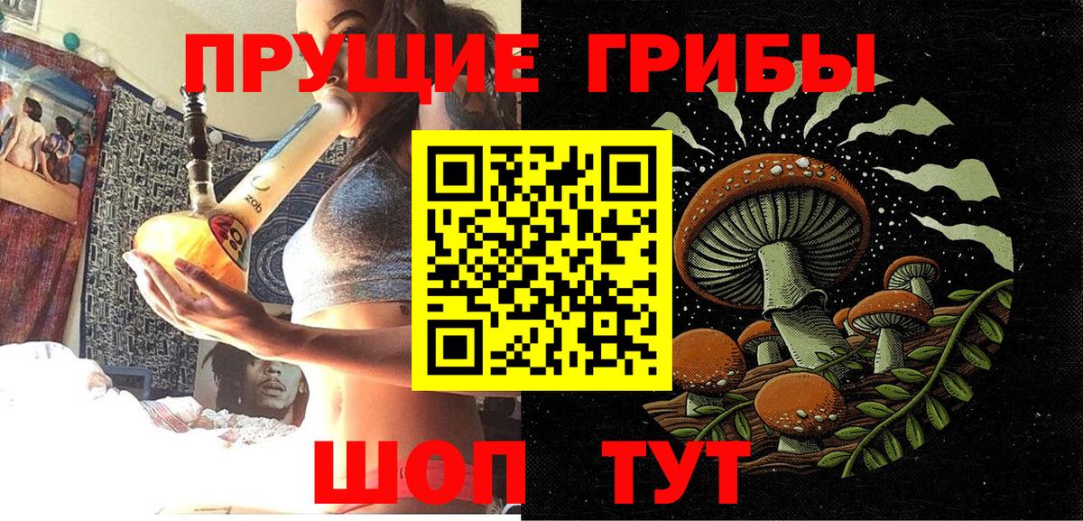Псилоцибиновые грибы MAGIC MUSHROOMS Кизляр
