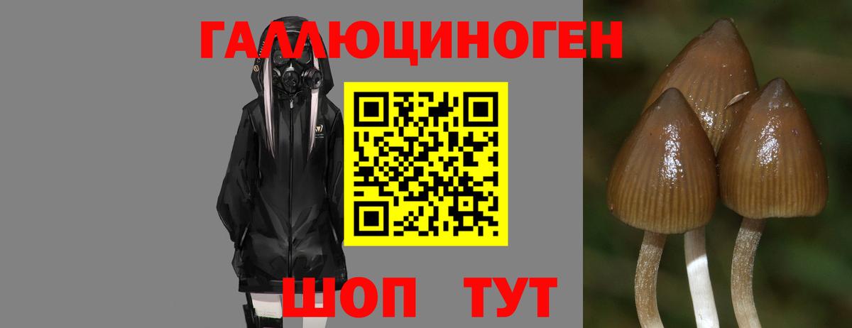 Кизляр  Галлюциногенные грибы мухоморы  Псилоцибиновые грибы мухоморы  Вход с VPN 